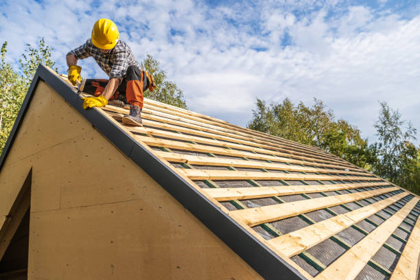Best Local Roofing Companies  in Bridgeport, MI