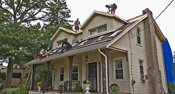 Best Shingle Roofing Installation  in Bridgeport, MI