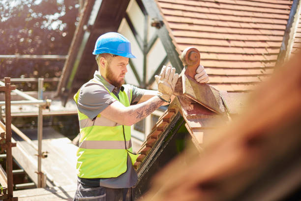 Best Roofing Contractor Near Me  in Bridgeport, MI