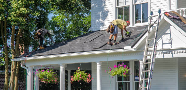 Best Roof Maintenance Services  in Bridgeport, MI
